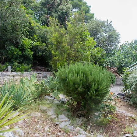 Apartment Marjan