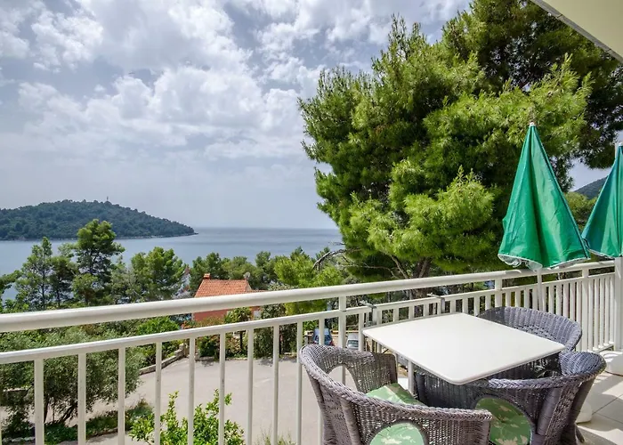 公寓 Marjan 布尔纳